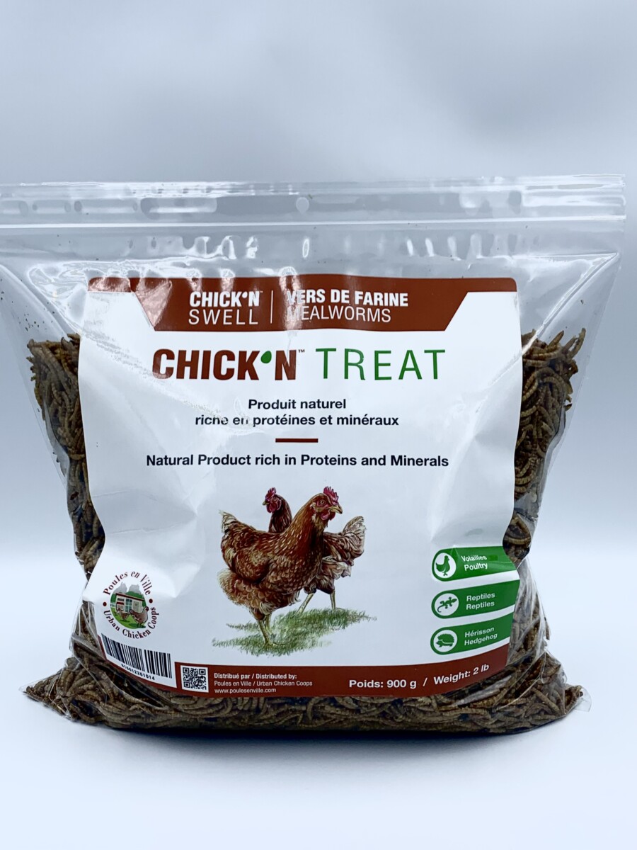 Chick'N Treat Vers de farine format de 900g (2 lbs) - Poules en Ville