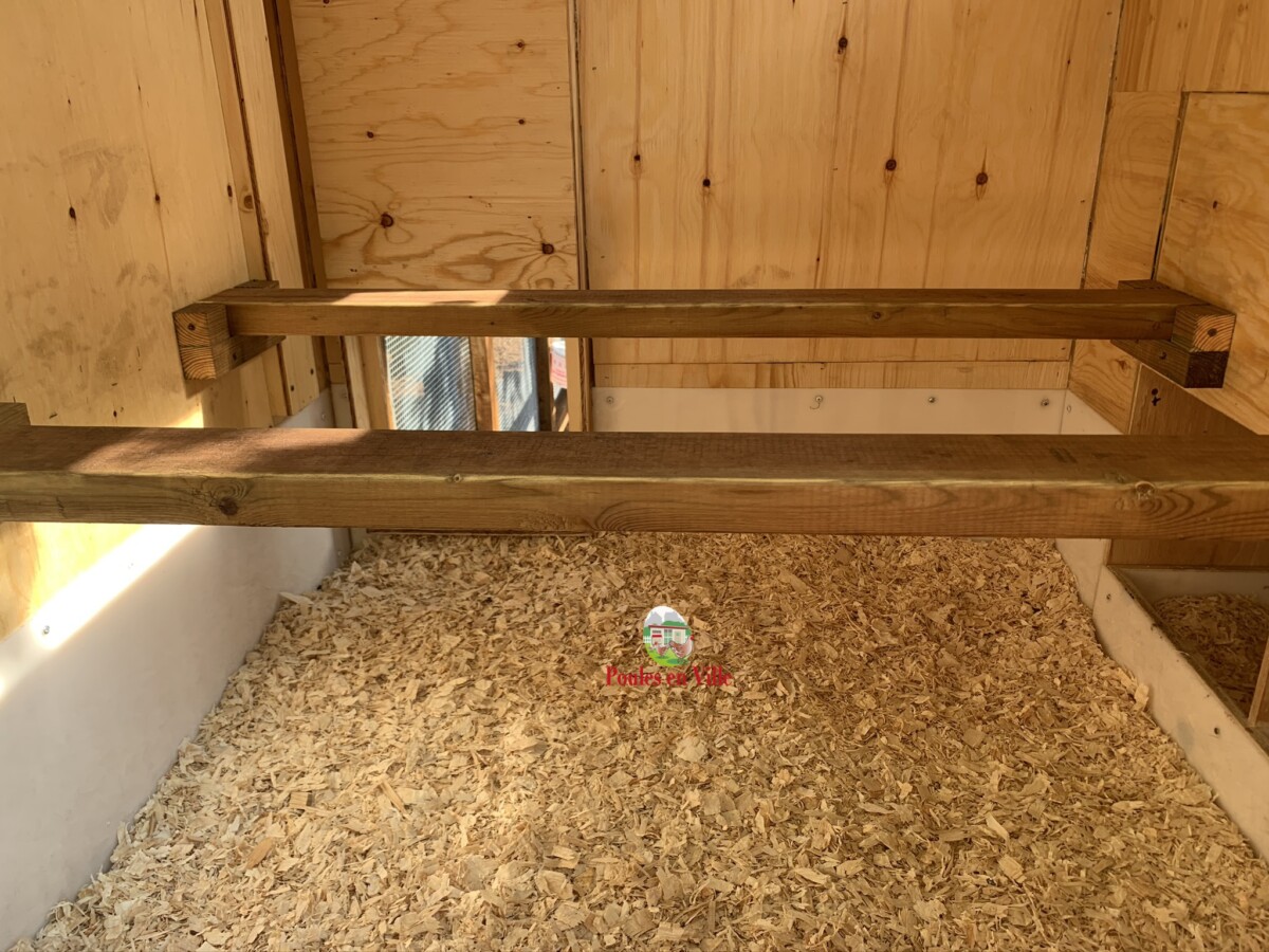 Chicken perches What is a perch and why do your chickens need one? Poules en Ville